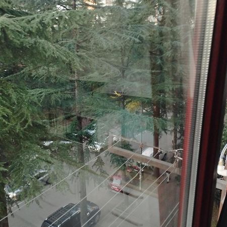 Apartment Ge Zvezda Batum Dış mekan fotoğraf